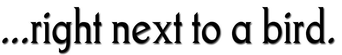 ...right next to a bird.